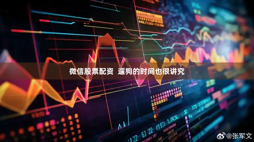 微信股票配资  遛狗的时间也很讲究